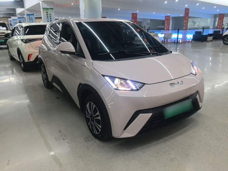 Used BYD Seagull 2025 305km Active Version — 3