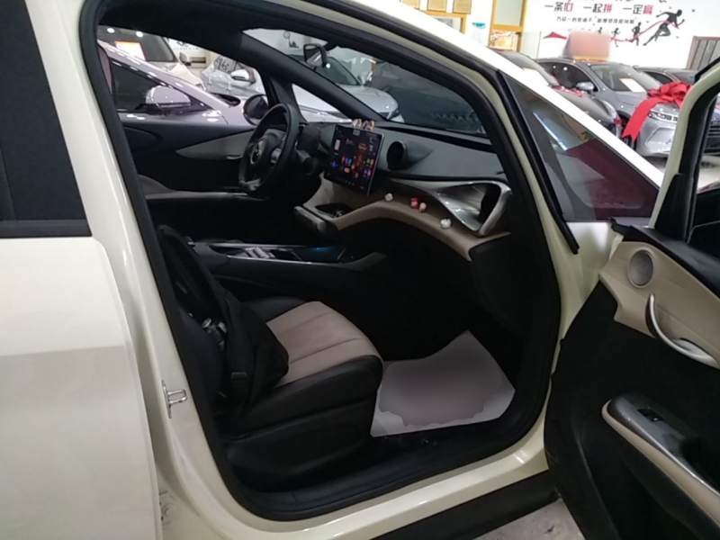 Used BYD Dolphin 2025 420km Free Edition — 24