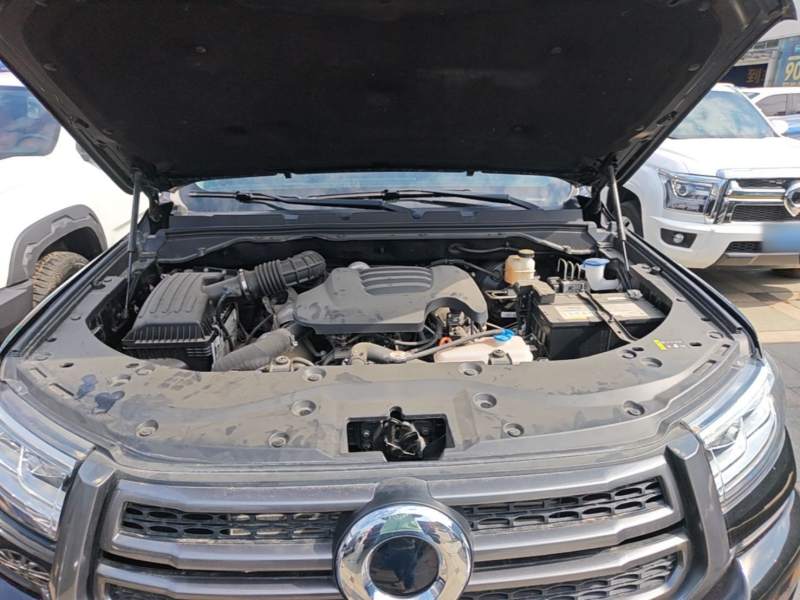 Used Great Wall Poer 2023 2.0T Passenger Version Automatic Diesel Two-Wheel Drive Comfort Trim – GW4D20M — 19