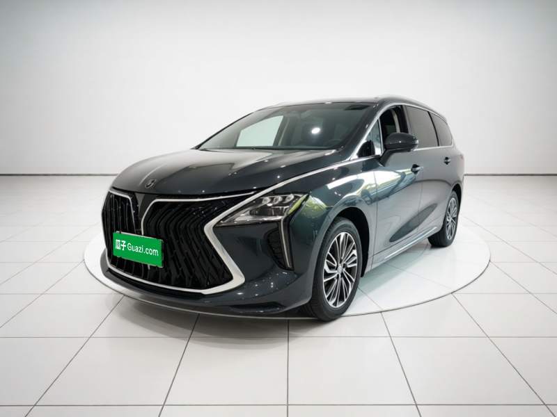 Used FORTHING Yacht 2024 1.5T DCT Guanhai Edition