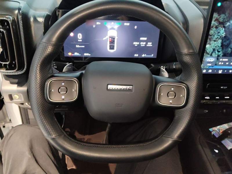 Used Haval Raptor 2025 2.0T 4WD Pro — 10