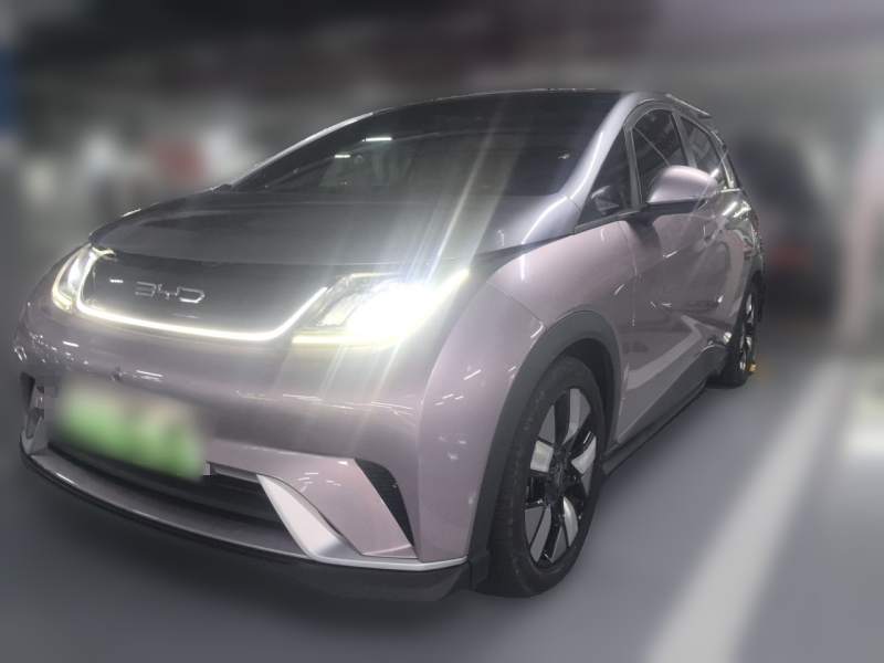Used BYD Dolphin 2021 401km Knight Edition