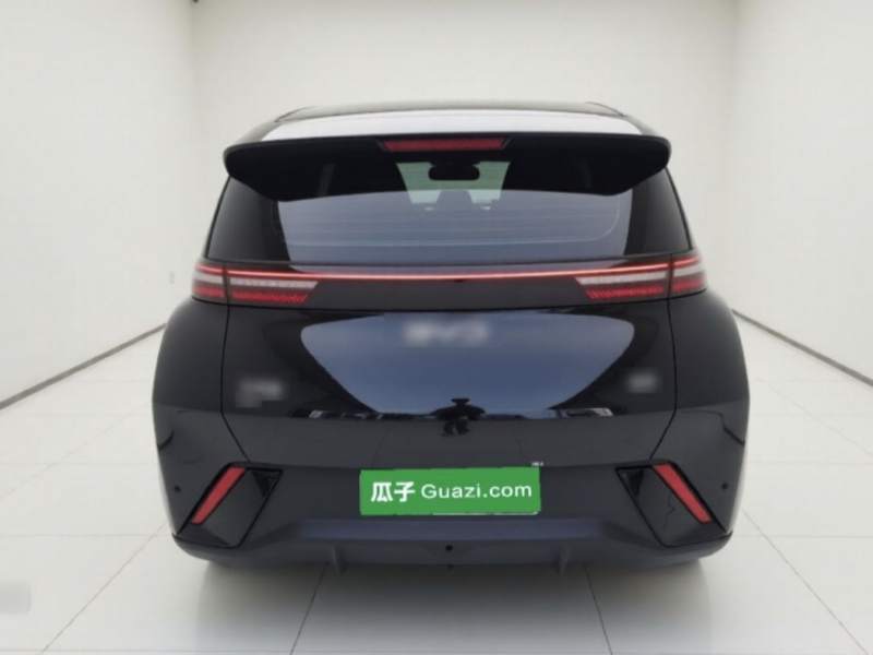 Used BYD Seagull 2023 Free Edition — 14