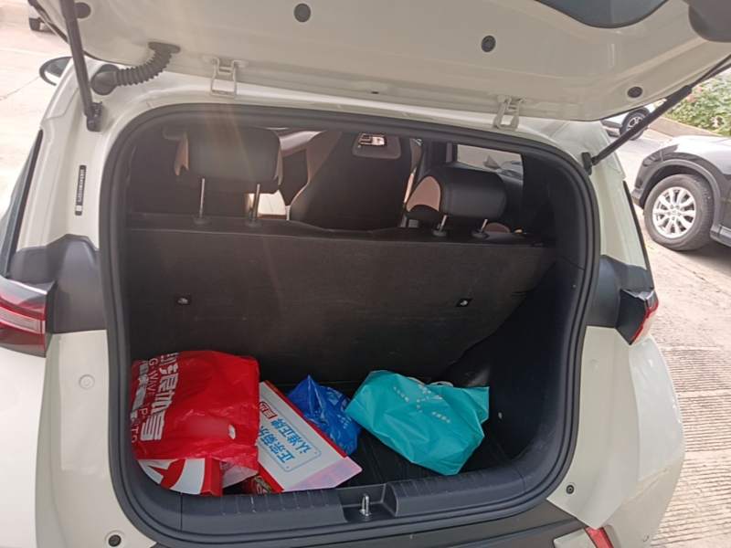 Used BYD Seagull 2024 Honor Edition 305km Dynamic Version — 18