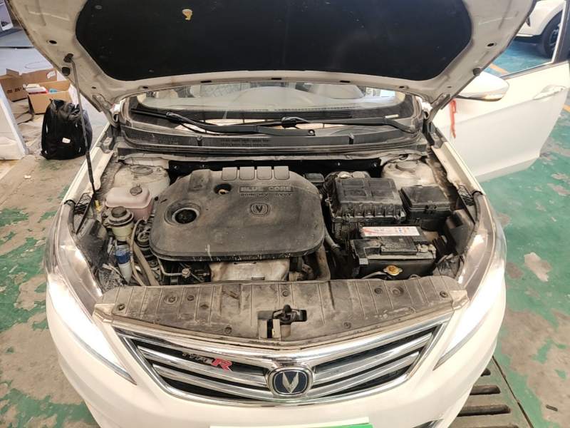 Used CHANGAN Eado 2016 1.6L Automatic Trend Model — 19