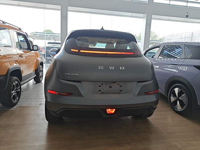 Used ORA Good Cat 2025 Model, 430 km Prestige Version — 5