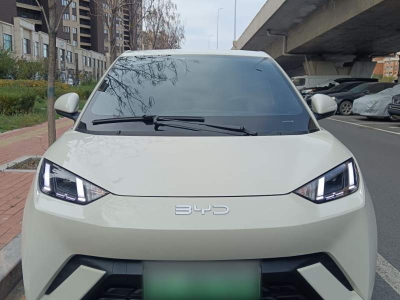 Used BYD Seagull 2023 Free Edition — 11