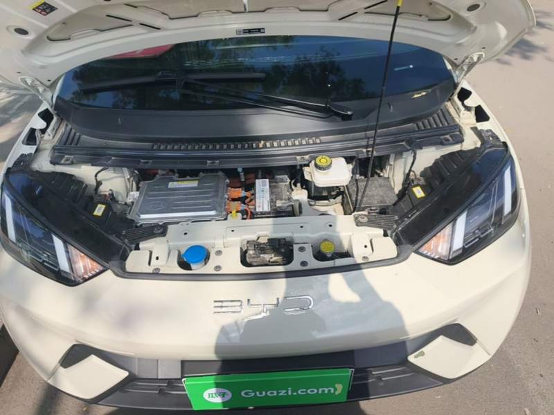 Used BYD Seagull 2023 Free Edition — 19
