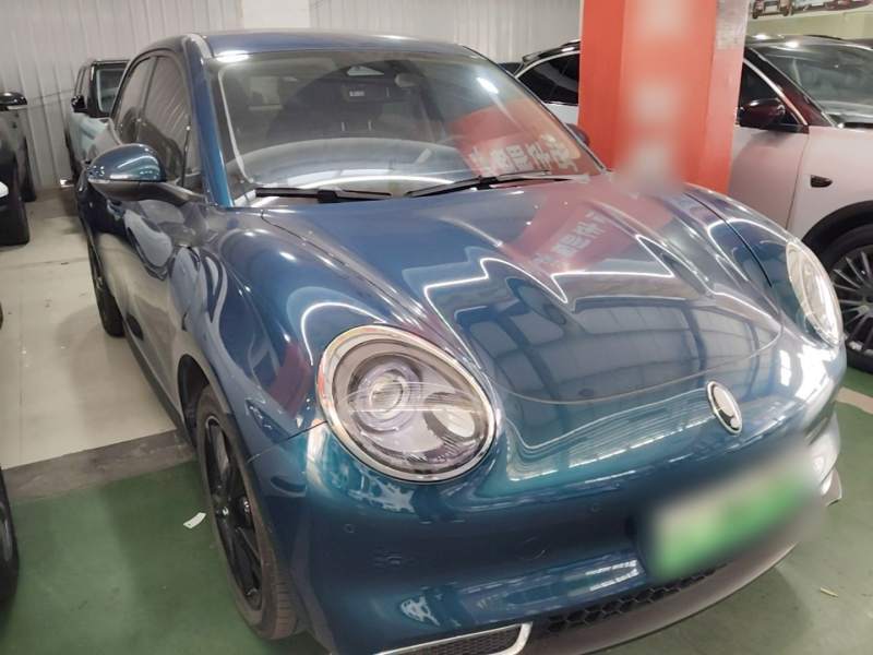 Used ORA Good Cat 2024 401 km Luxury Version 126 kW — 3