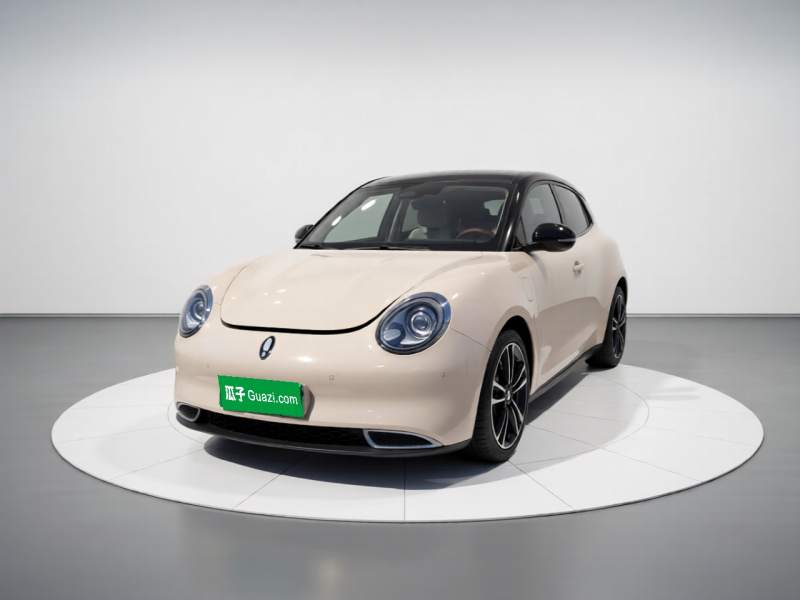 Used ORA Good Cat 2024 401 km Range Luxury Version 135 kW — 2