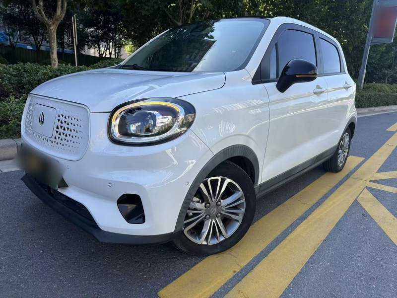Used Leapmotor T03 2020 400 Luxury Edition