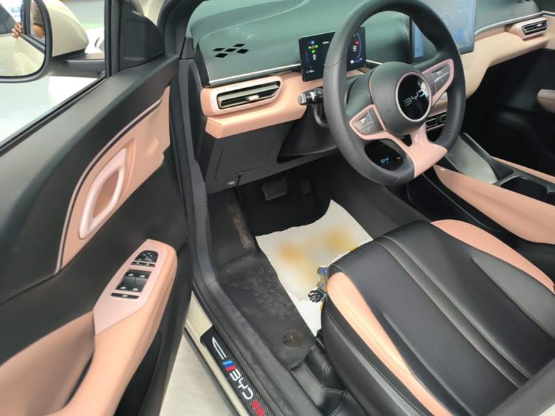 Used BYD Seagull 2025 Intelligent Driving Version 305 km Dynamic Edition — 15