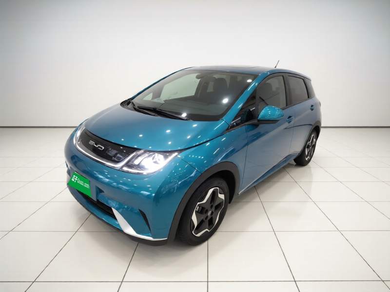 Used BYD Dolphin 2021 405 km Free Version