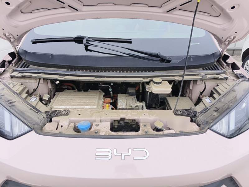 Used BYD Seagull 2024 Honor Edition 305km Dynamic Version — 19