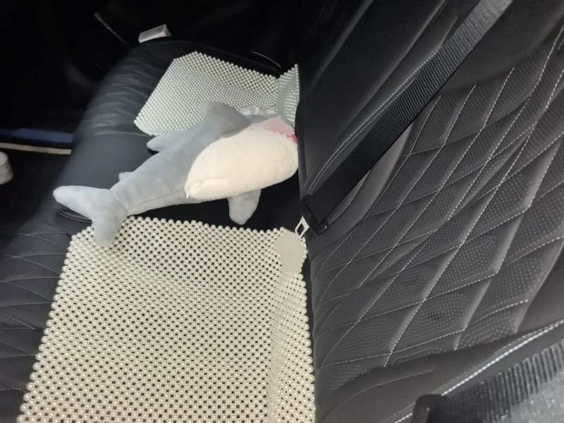 Used BYD Seal 2023 Champion Edition 550km Prestige Model — 18