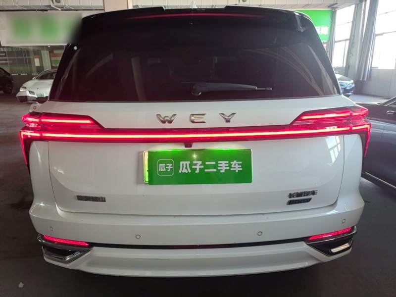 Used Wey Lanshan 2023 Four-Wheel Drive Ultra-Long Range Version — 5