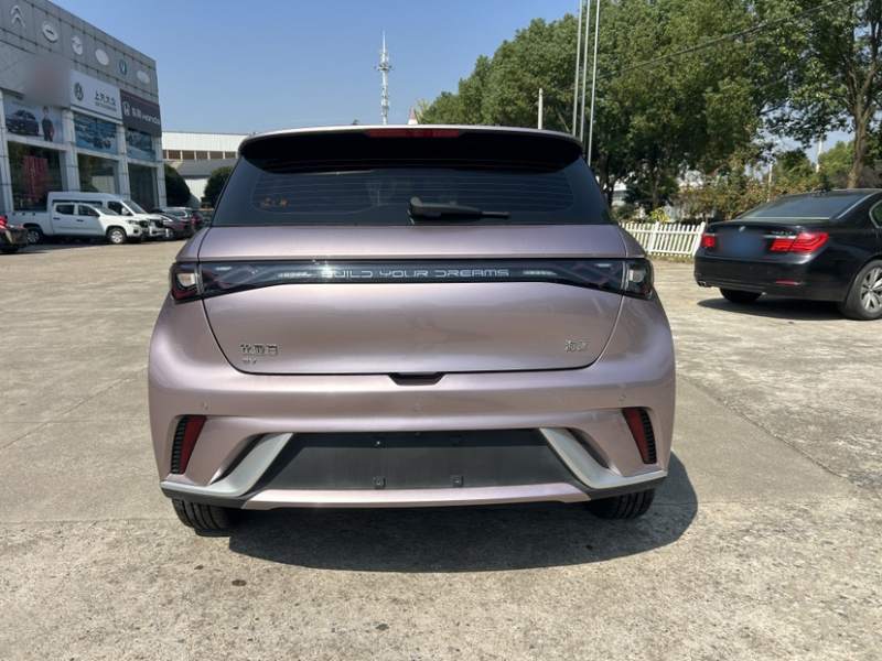 Used BYD Dolphin 2024 Honor Edition 420km Freedom Version — 7
