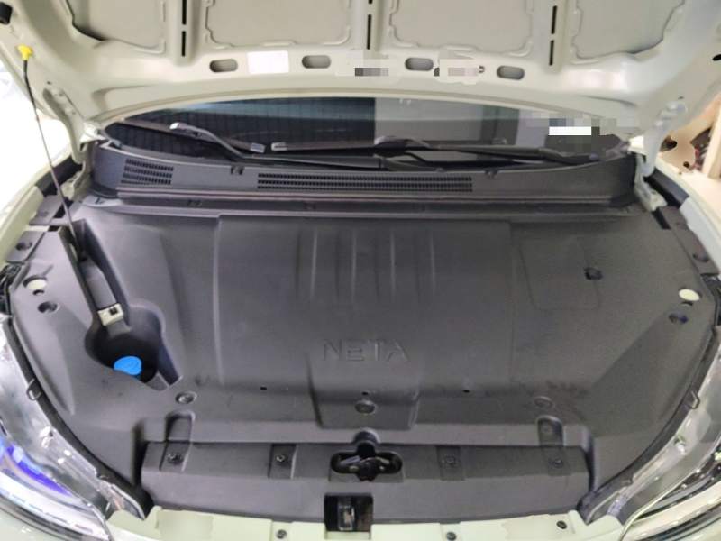 Used NETA V 2022 Chao 300 Lite Lithium Iron Phosphate — 19