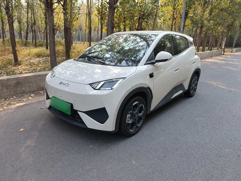 Used BYD Seagull 2025 Smart Drive Version 305 km Freedom Edition — 1