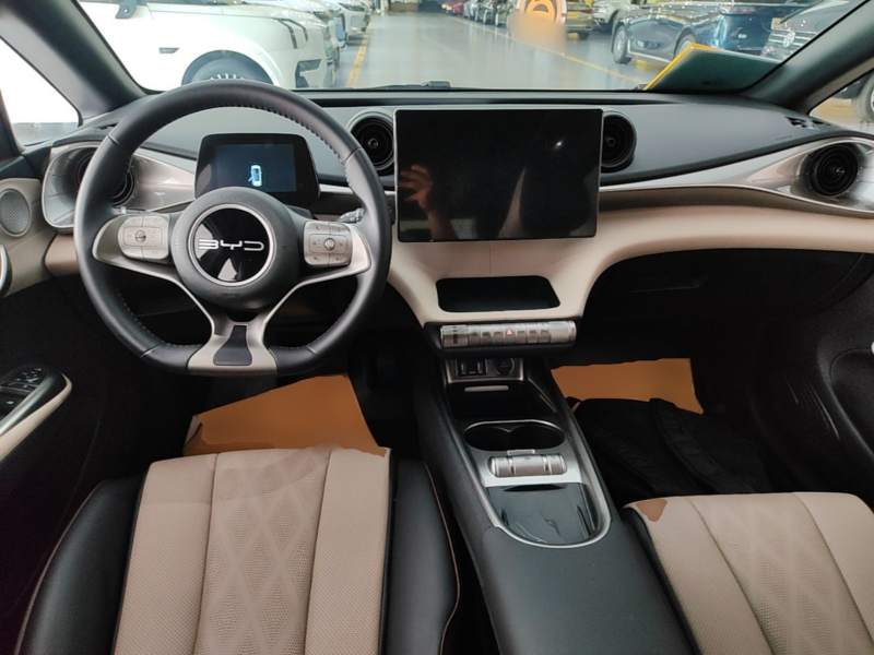 Used BYD Dolphin 2023 420 km Fashion Edition — 9