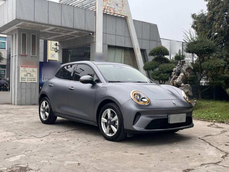 Used ORA Good Cat 2025 Model, 430 km Prestige Version — 29