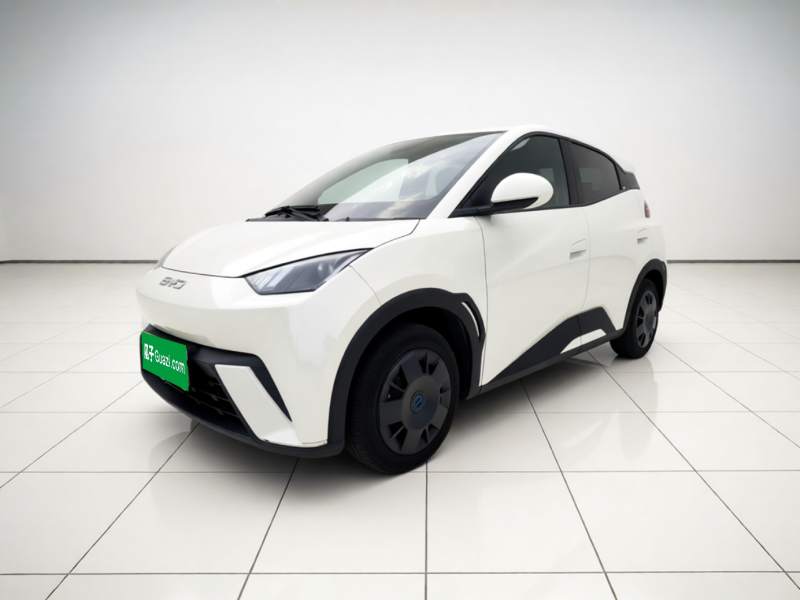 Used BYD Seagull 2024 Honor Edition 305km Dynamic Version