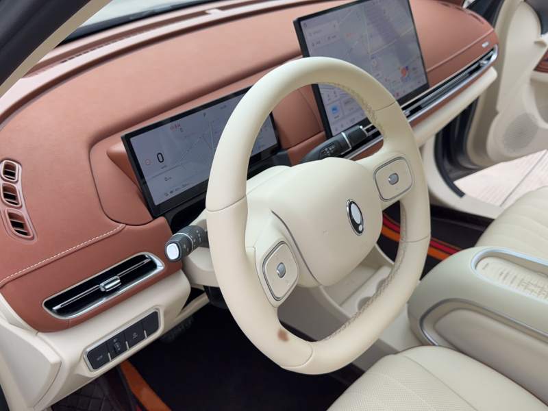 Used ORA Good Cat 2025 Model, 430 km Prestige Version — 35