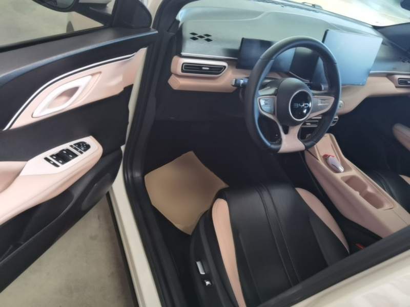 Used BYD Seagull 2025 405 km Flying Edition — 15