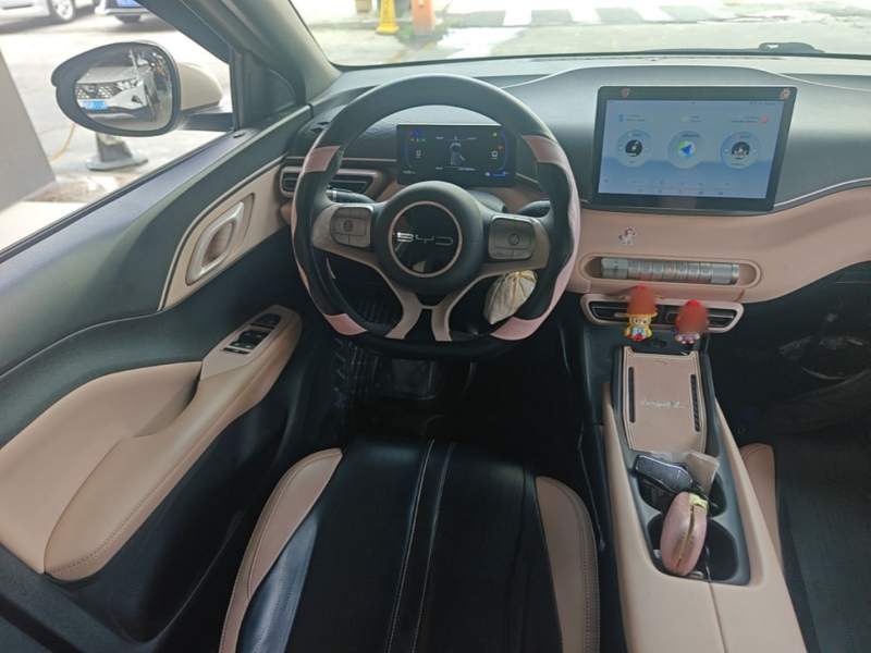 Used BYD Seagull 2023 Active Version — 10