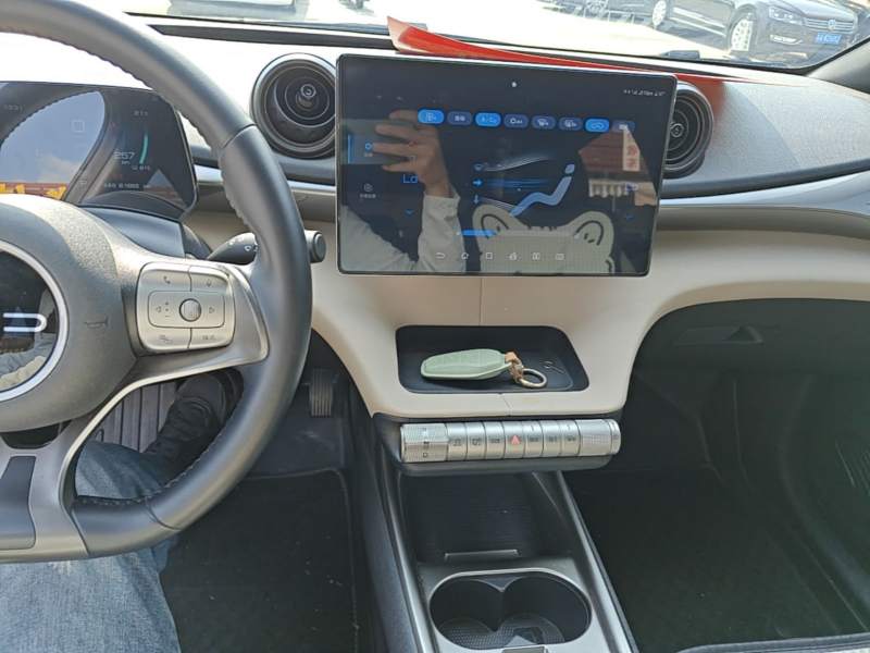 Used BYD Dolphin 2023 420 km Free Version — 9
