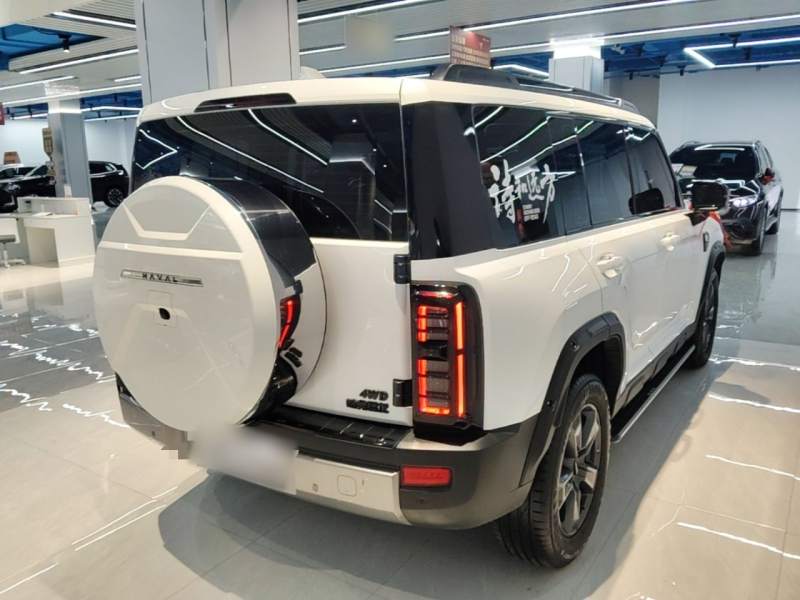 Used Haval Raptor 2025 2.0T 4WD Pro — 6