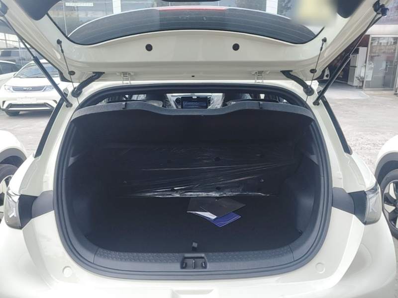 Used BYD Dolphin 2025 420km Free Edition — 18