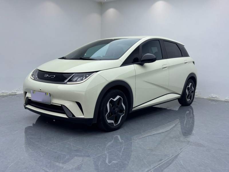 Used BYD Dolphin 2021 405 km Free Version — 35