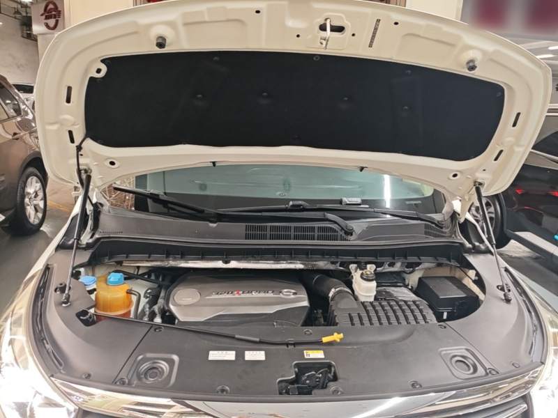 Used GAC Trumpchi M8 2018 320T Flagship Edition — 19