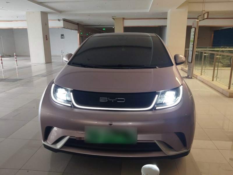Used BYD Dolphin 2021 405 km Fashion Edition — 2