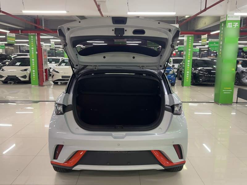 Used BYD Dolphin 2021 405 km Fashion Edition — 18