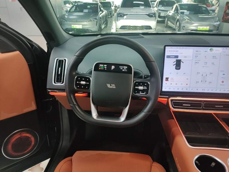 Used Li Auto L6 2024 Max — 10