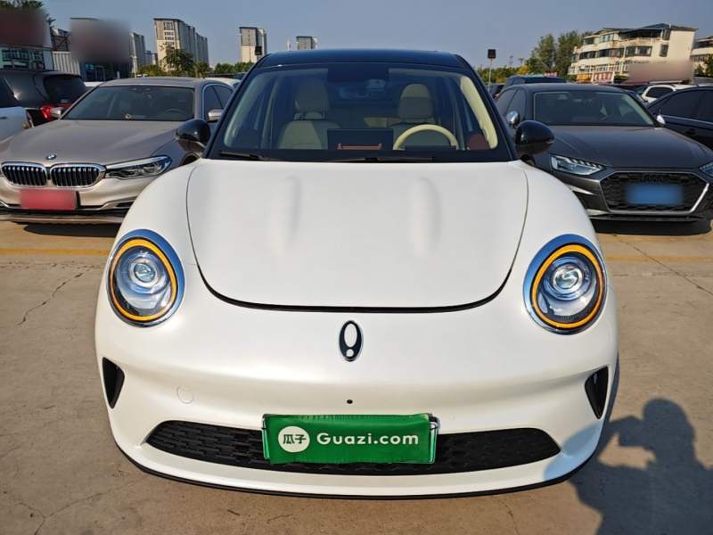 Used ORA Good Cat 2025 Model, 430 km Luxury Version — 2
