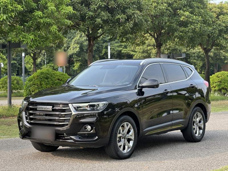 Used Haval H6 2021 National Trend Edition 1.5T Automatic Champion Version