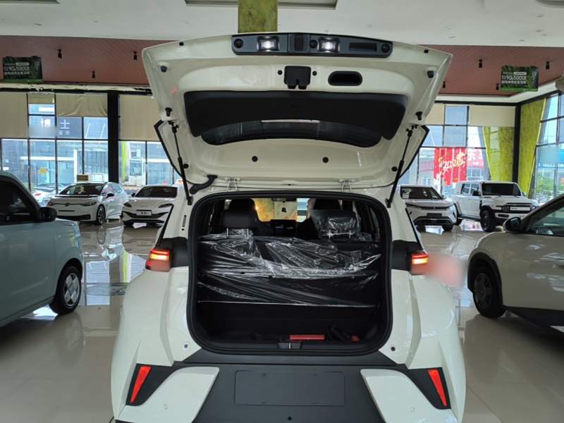 Used BYD Seagull 2025 Intelligent Driving Version 305 km Dynamic Edition — 18