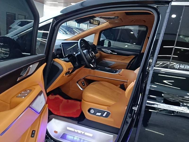 Used Wey Gaoshan 2023 Four-Wheel-Drive Executive Extended Version — 15