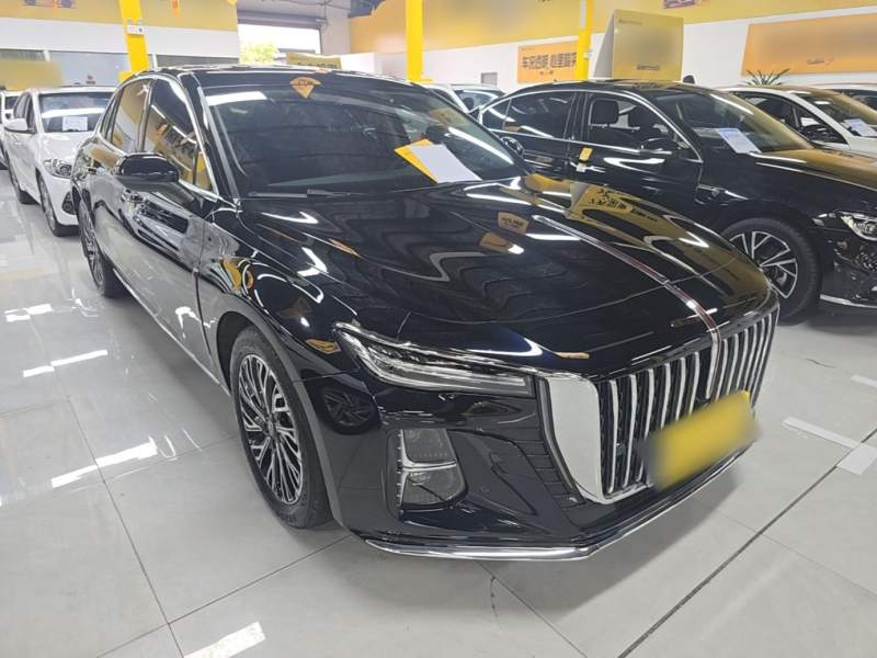 Used Hongqi H5 2025 2.0T Automatic Flag Edition – 500 000 Units Commemorative Version — 3