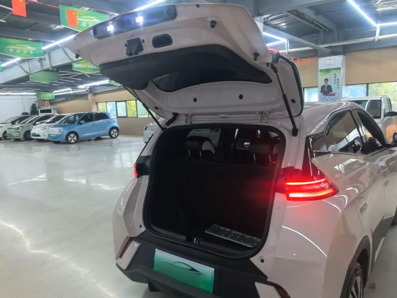 Used BYD Seagull 2025 305km Active Version — 18