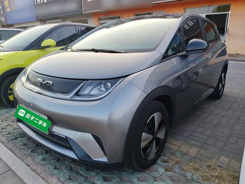 Used BYD Dolphin 2023 420 km Fashion Edition — 1