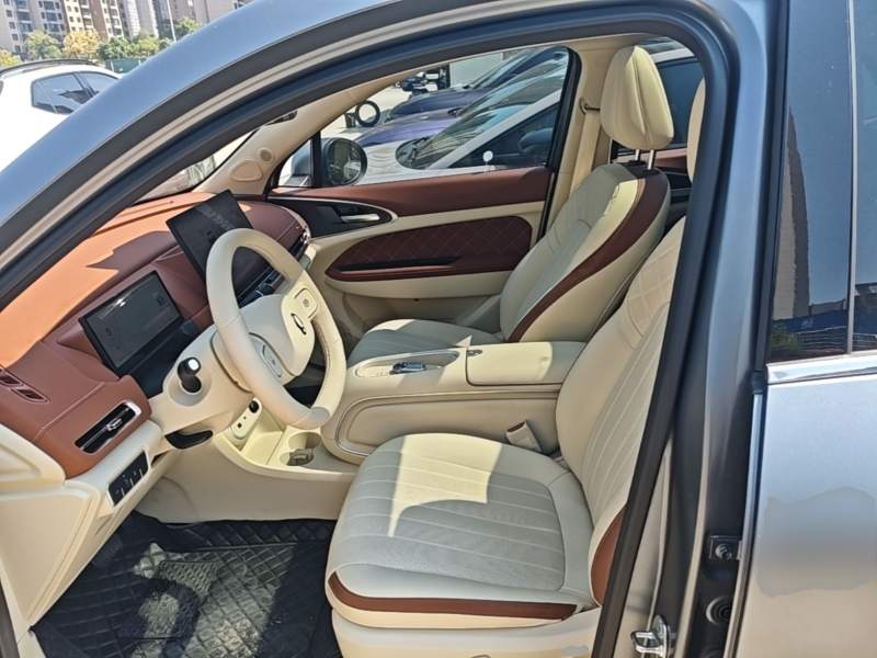 Used ORA Good Cat 2025 Model, 430 km Prestige Version — 14