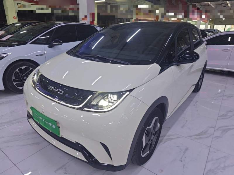 Used BYD Dolphin 2021 405 km Fashion Edition — 1