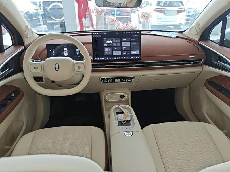 Used ORA Good Cat 2025 Model, 430 km Prestige Version — 9
