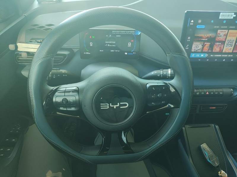 Used BYD Seagull 2024 Honor Edition 305km Dynamic Version — 10
