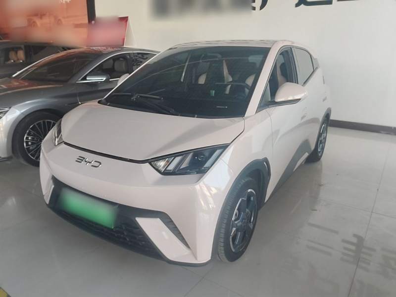 Used BYD Seagull 2024 Honor Edition 305km Freedom Version — 1