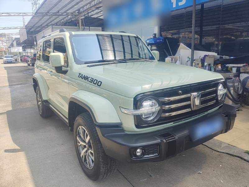Used Tank 300 2024 2.0T Crosser — 19